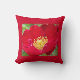 Rose sind rotes Kissen