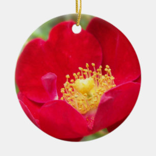 Rose sind Rotschmuck Keramik Ornament