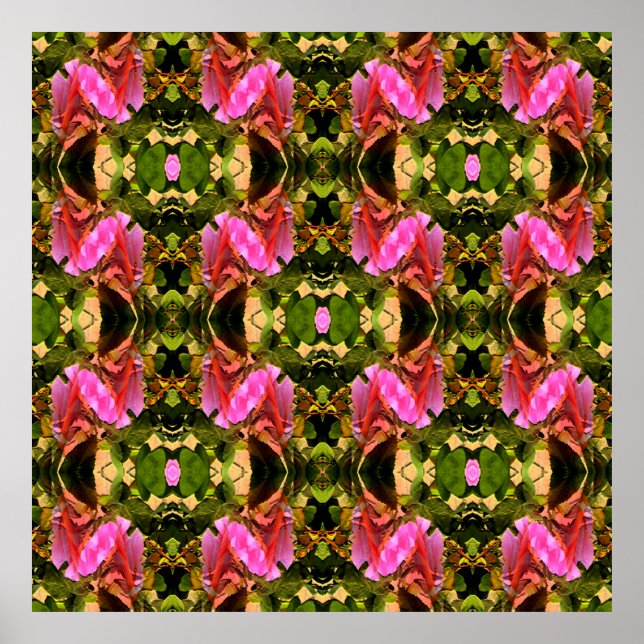 Rose Spektakulär...... Poster (Vorne)