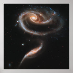 Rose Spiralgalaxien Poster