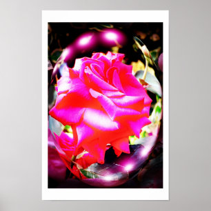 Rose Spirituosen Poster