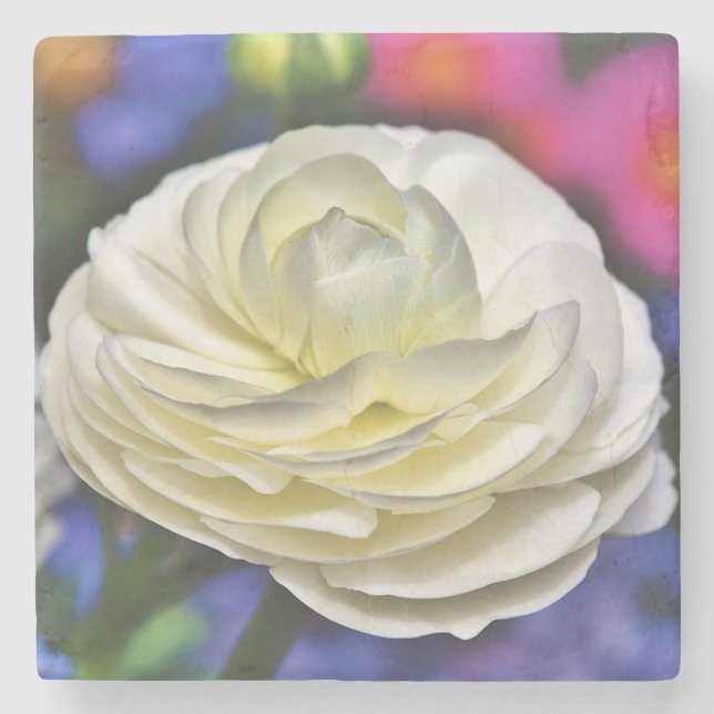 Rose Stone Untersetzer (Vorderseite)