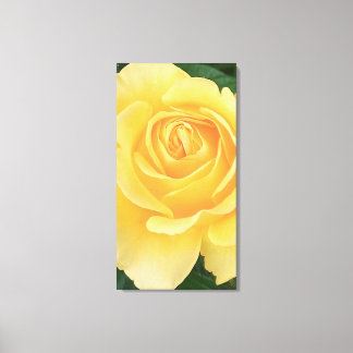 Rose Stretched Canvas Print Leinwanddruck