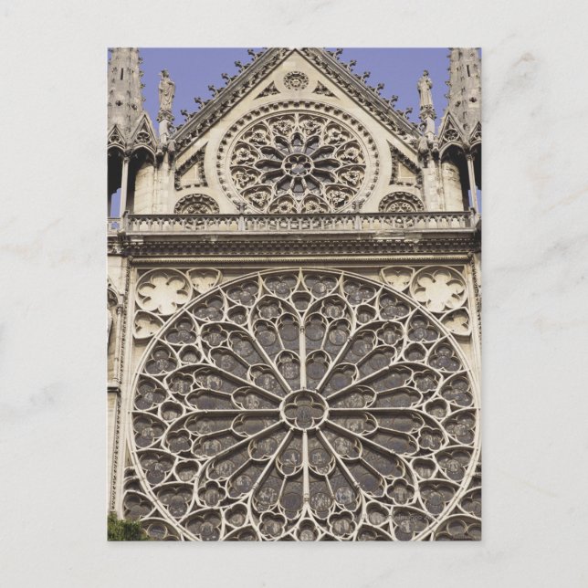Rose Süd in Notre Dame Postkarte (Vorderseite)