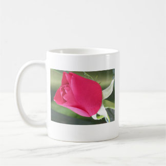 Rose Tasse