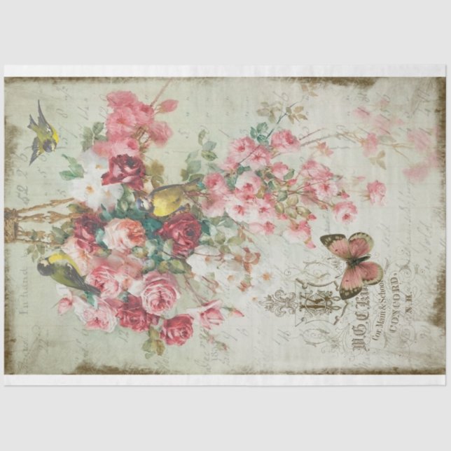 Rose Traînantes Pink Roses & Birds Decoupage Seidenpapier (Vorderseite)