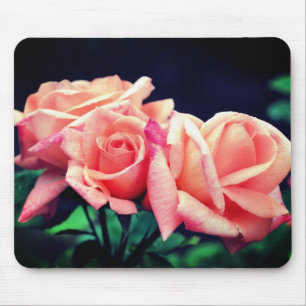 Rose Trio Blume Mousepad