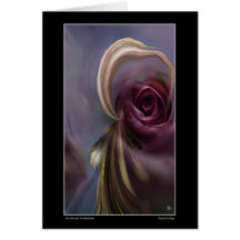 Rose und Adresskarte