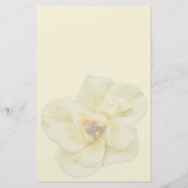 Rose und Biene Briefpapier (Vorderseite)
