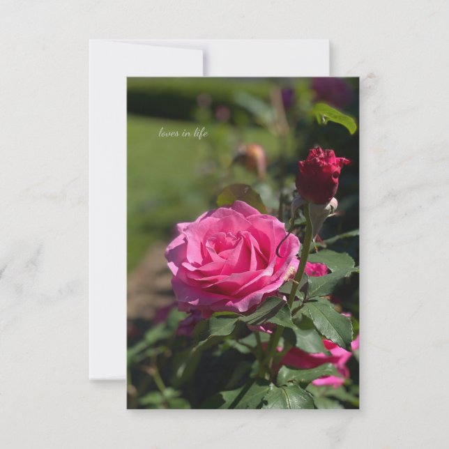 Rose und Bud Mitteilungskarte (Vorderseite)
