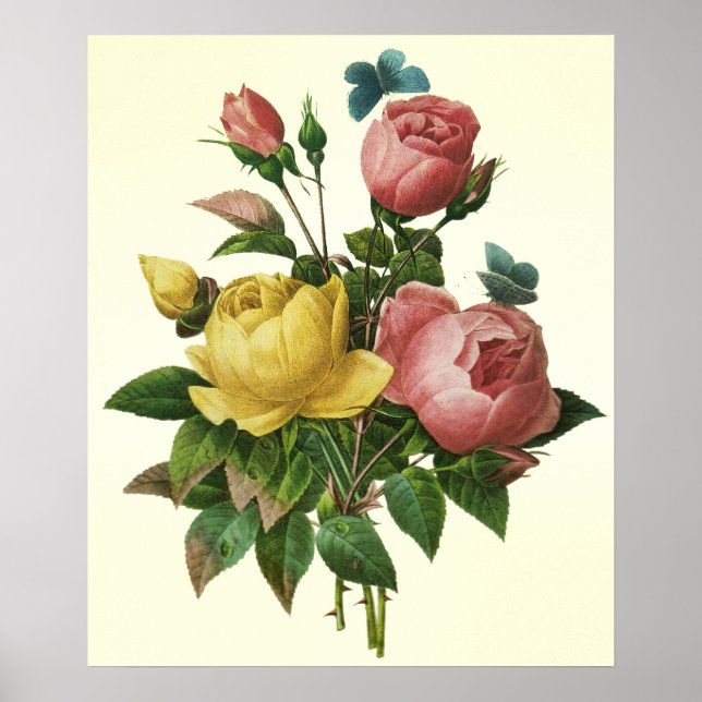 Rose und Butterfly Bouquet, Pierre Redoute Poster (Vorne)
