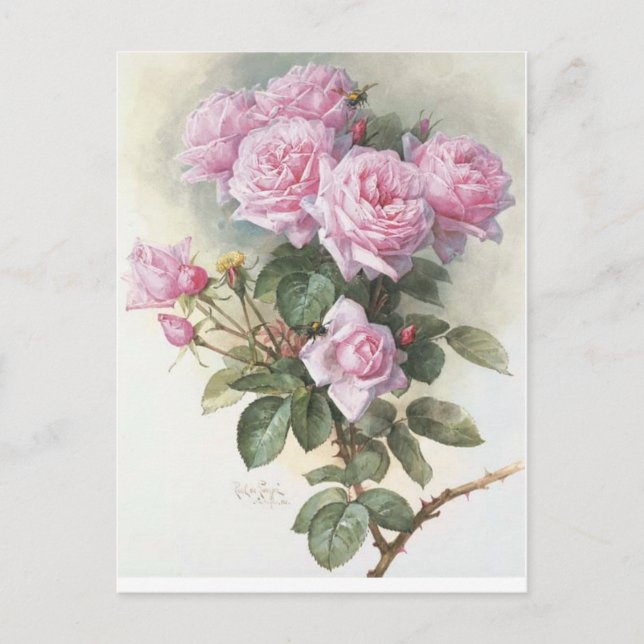 Rose und eine Hummel von Paul de Longpre Postkarte (Vorderseite)
