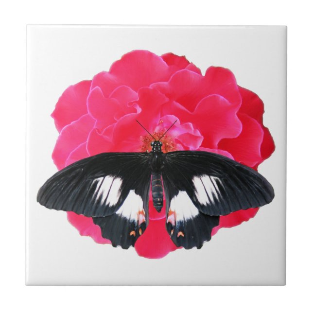 Rose und Frack Fliese (Vorderseite)