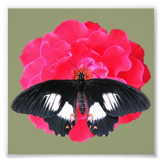 Rose und Frack Fotodruck (Vorne)
