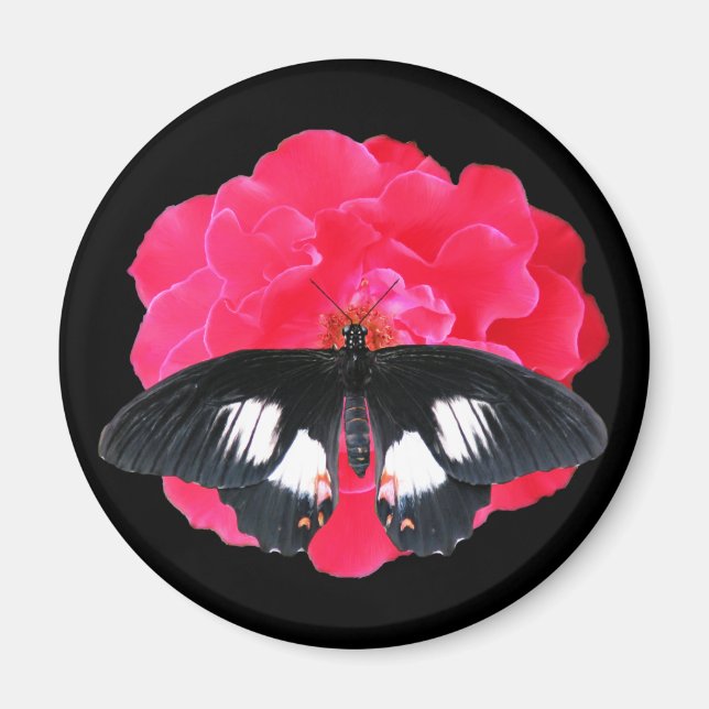 Rose und Frack Magnet (Vorne)
