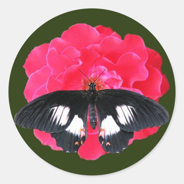 Rose und Frack Runder Aufkleber (Vorderseite)