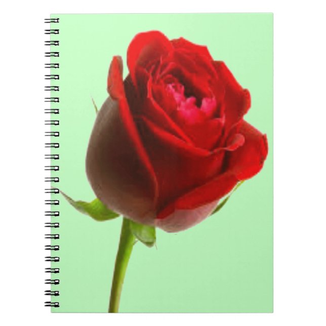 Rose und Grün Notizblock (Vorderseite)