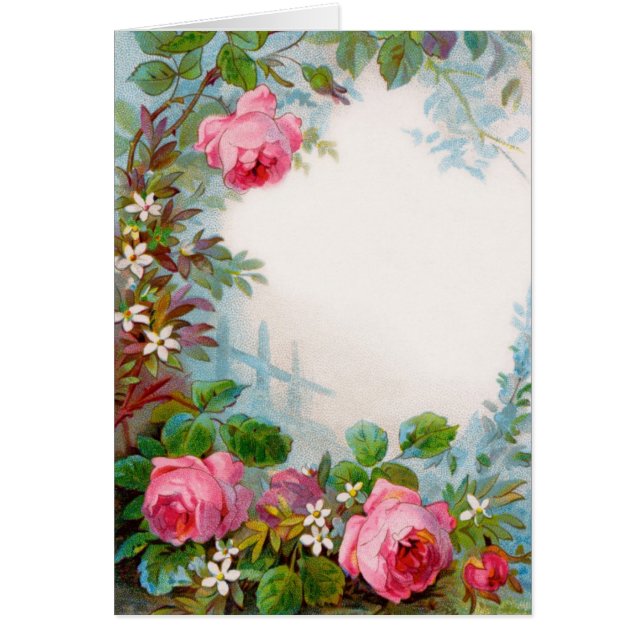 ROSE UND JASMINEN (Vorne)