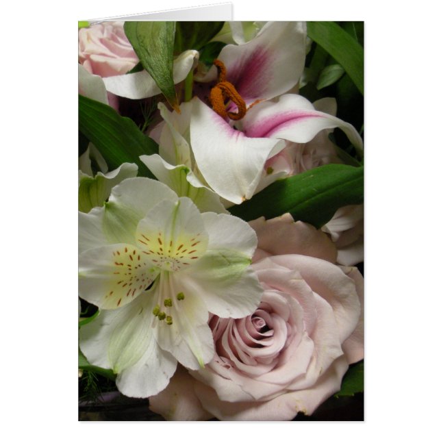 Rose und Lily (Vorne)