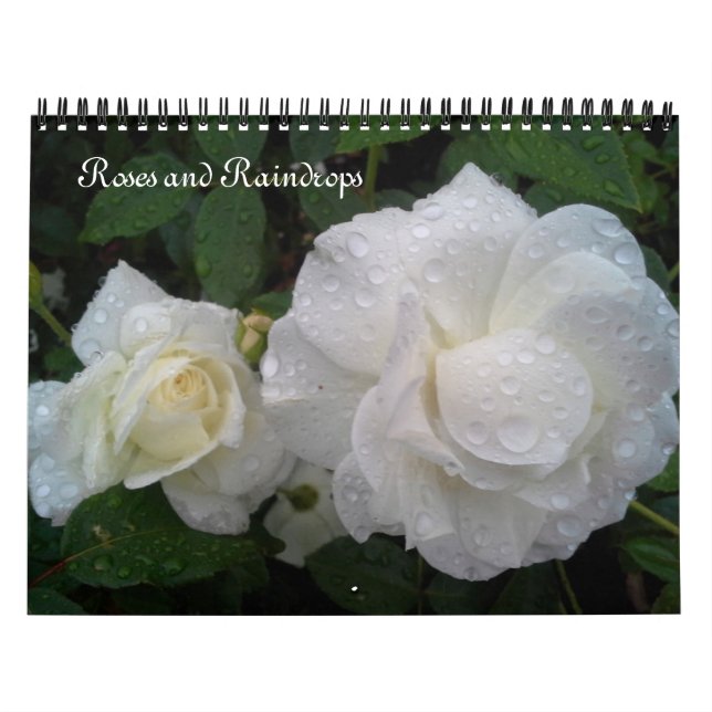 Rose- UND REGENZEITALLE Kalender (Titelbild)