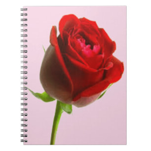Rose und Rosa Notizblock