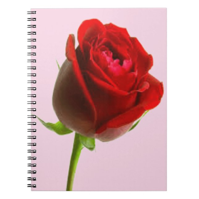 Rose und Rosa Notizblock (Vorderseite)