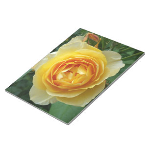 Rose und Rosebud Notizblock