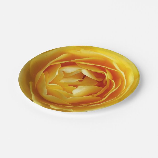 Rose und Rosebud Pappteller (Schrägansicht)