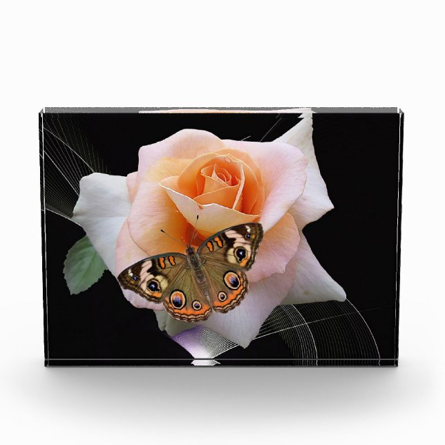 Rose und Schmetterling Fotoblock (Vorderseite)