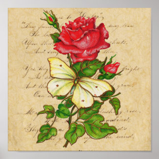 Rose und Schmetterlingsdruck Poster