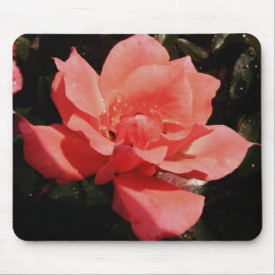 Rose und Tauchen Mousepad
