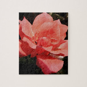 Rose und Tauchen Puzzle