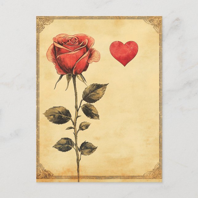 Rose und Vintage Liebe Postkarte (Vorderseite)