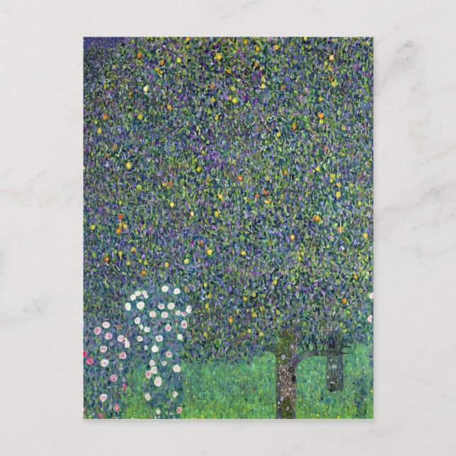 Rose unter den Bäumen, c.1905 Postkarte (Vorderseite)