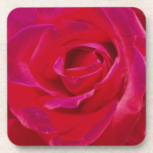 Rose Untersetzer