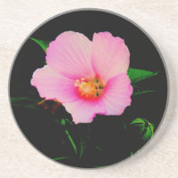 Rose Untersetzer