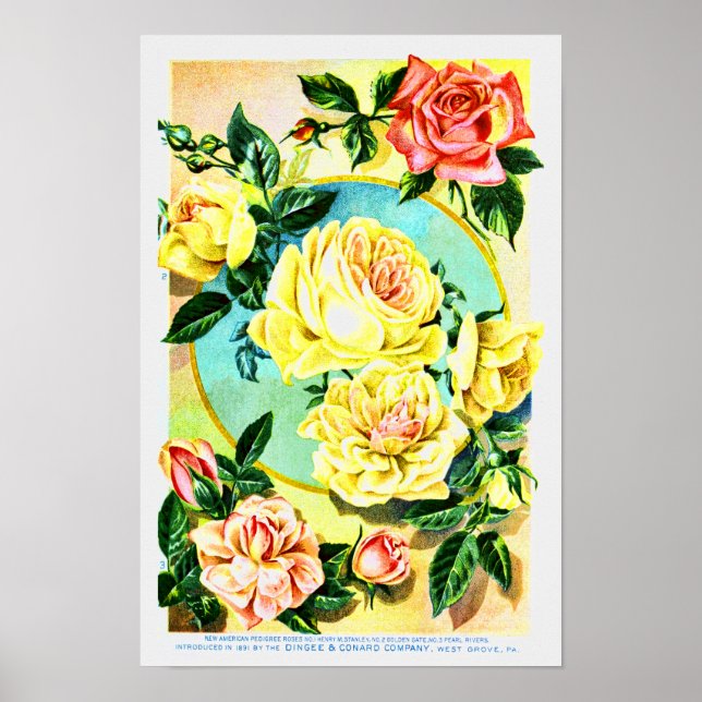Rose Vintage Blume Saatgut Unternehmen Poster (Vorne)