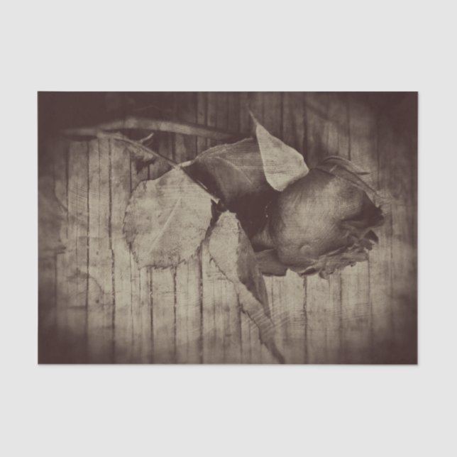 Rose Vintages Sepia-Brown-Dekor Seidenpapier (Vorderseite)