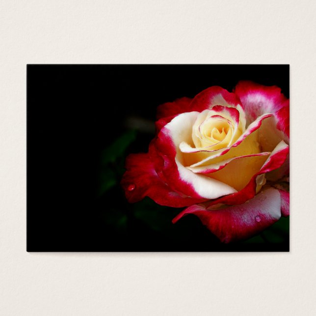 Rose Visitenkarte (Vorderseite)