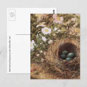 Rose von Bird's Nest and Dog von John William Hill Postkarte