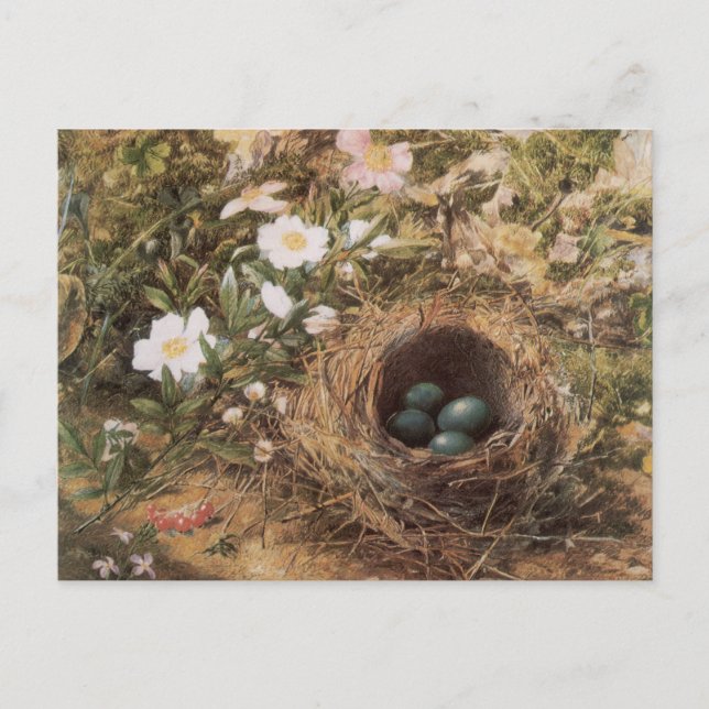 Rose von Bird's Nest and Dog von John William Hill Postkarte (Vorderseite)