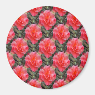 Rose von Liebe......... Magnet