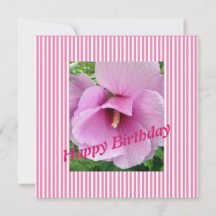 Rose von Sharon Flachkarte Karte