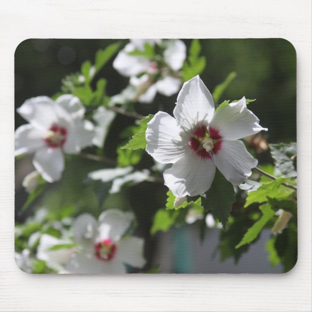 Rose von Sharon-Mauspad Mousepad (Vorne)