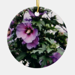 Rose von Sharon Ornament