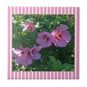 Rose von Sharon Striping Fliese