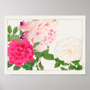 Rose von Tanigami Konan Poster