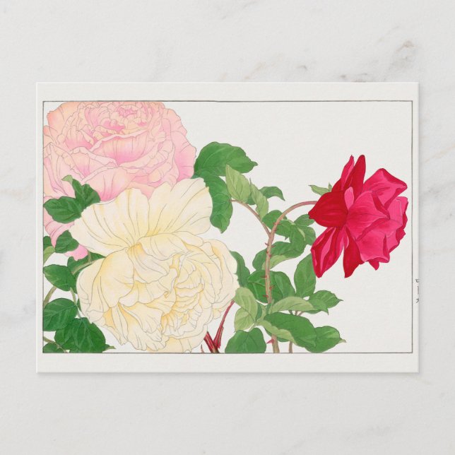 Rose von Tanigami Konan Postkarte (Vorderseite)