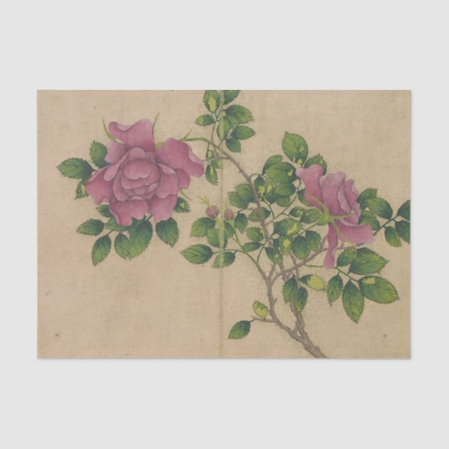 Rose von Zhang Ruoai Seidenpapier (Vorderseite)