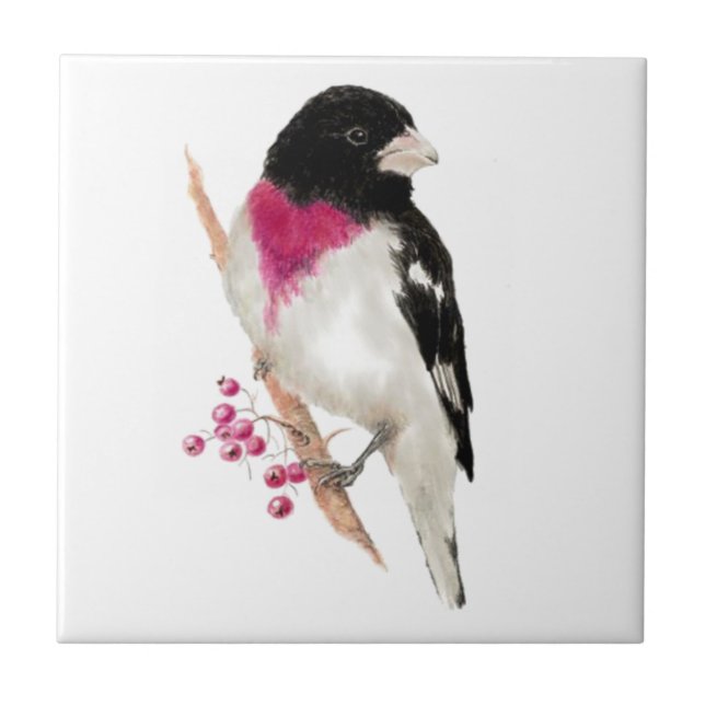 Rose Wasserfarbe Grosbeak Fliese (Vorderseite)